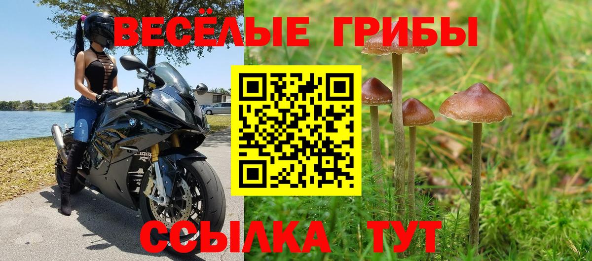 Гашиш  Вход с VPN  Альфа ПВП СК   Касимов  Каннабис  Cocaine  Меф  