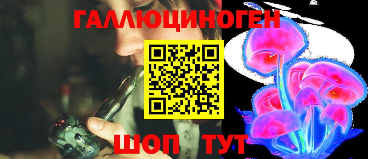 Касимов  Галлюциногенные грибы Magic Shrooms  Вход с VPN  Псилоцибиновые грибы Psilocybine cubensis 