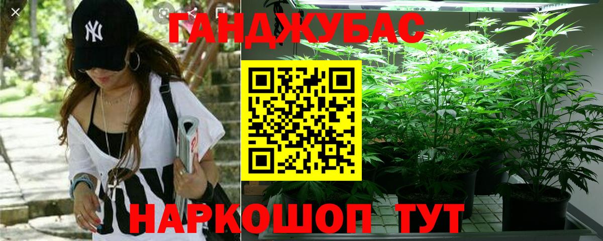 Марихуана SATIVA & INDICA Касимов
